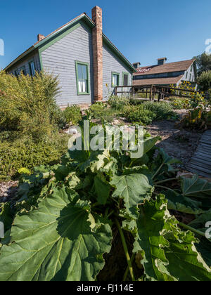 Museo di Western Colorado, Cross frutteti, Grand Junction, Colorado. Foto Stock