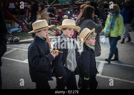 Lancaster, Pennsylvania, USA. Il 27 febbraio, 2016. Fango Amish Vendita, terrà ogni primavera in Lancaster, PA. La raccolta di fondi per gli enti locali dipartimenti di fuoco. Credito: creativa collezione TOLBERT FOTO/Alamy Live News Foto Stock