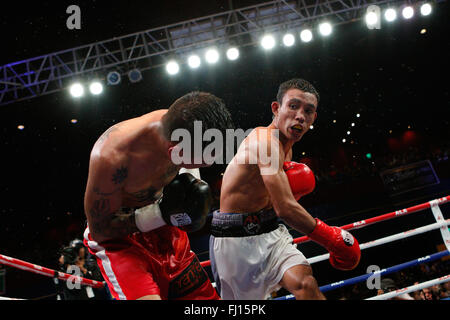 Waterfront Hotel,Cebu, Filippine 27/02/2016.Pinoy orgoglio 35 'Stelle del Futuro' boxing event.Kevin Filippini Jake 'KJ' Cataraja (bianco trunk),battaglie con Tony Rodriguez del Messico in una centrifuga match up.Cataraja tenendo il 8 round lotta con decisione. Foto Stock