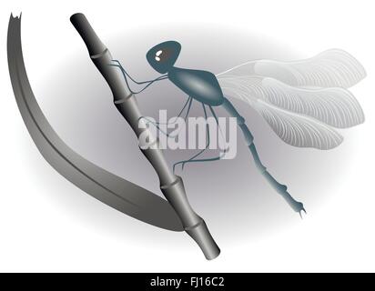 Dragonfly seduto su un ramo. Bianco e nero illustrazione. EPS10 illustrazione vettoriale Illustrazione Vettoriale