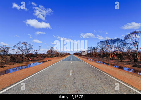 Larghezza del vuoto strada sigillato in Western Australia dopo grave bushfires distruggendo gumtree boschi intorno a. Pioggia bushfire facilitata e Foto Stock