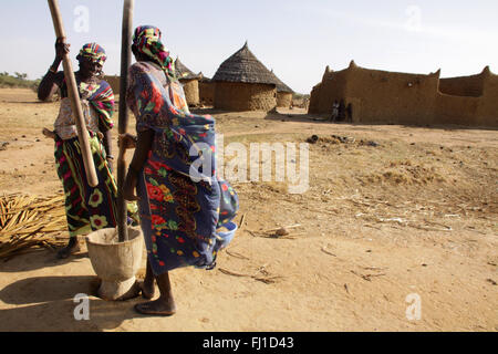 Donne pounding miglio in Fulani tradizionale villaggio nei pressi di Gorom Gorom, regione di Sahel, Burkina Faso Foto Stock