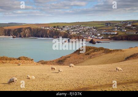 Vista la vite dalla coda verso la speranza Cove, Devon, Inghilterra Foto Stock