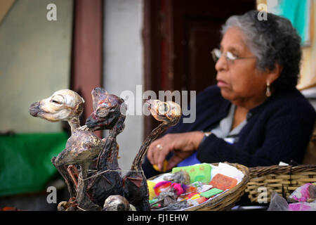 Lama feto al mercato delle Streghe , il Mercado de Hechiceria , la Paz in Bolivia Foto Stock