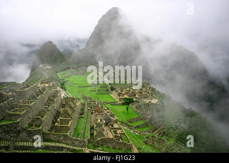 Macchu Picchu - Peru Foto Stock