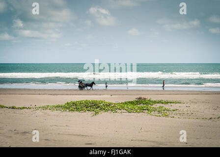 I turisti facendo un giro in carrozza trainata da cavalli sulla spiaggia Parangtritis, Giava centrale, Indonesia. Foto Stock