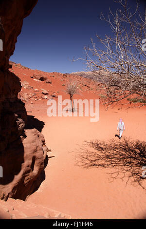 Wadi Rum il paesaggio del deserto in Giordania , Medio Oriente Foto Stock