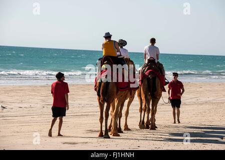 Un treno di cammelli che trasportano i turisti essendo guidati dai loro gestori di eventi su un 2km a piedi lungo la spiaggia di Cable Beach in Broome, costiere, madreperlante e t Foto Stock