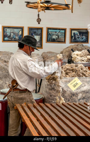 Gaucho, cowboy argentino, mantiene la lana di pecora su un allevamento di pecore vicino a Puerto Madryn Foto Stock