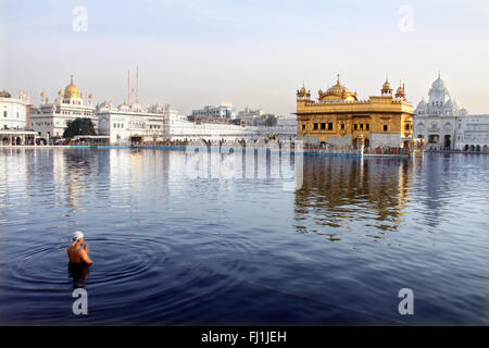 Un uomo sikh prega nel lago intorno al tempio d'oro, Amritsar , India Foto Stock