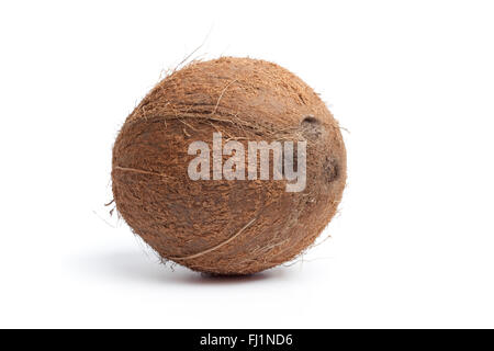 Tutta la singola cocco fresco isolato su sfondo bianco Foto Stock