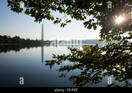 WASHINGTON DC - i ciliegi di Yoshino con fogliame estivo fanno da cornice a una vista del Monumento a Washington attraverso il bacino delle Tidal. Anche se noti per i loro fiori primaverili, gli alberi forniscono un baldacchino verde durante i mesi più caldi. Gli alberi originali erano un dono del Giappone nel 1912. Foto Stock