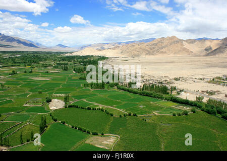 Paesaggio del Ladakh , India - con una fantastica vista sulla verde valle di Indus dal monastero di Thiksey Foto Stock