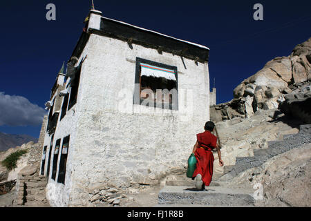 Giovane buddista monaco novizio al monastero di Thiksey gompa , Ladakh , India Foto Stock