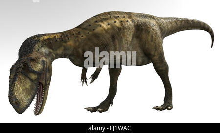 L'Abelisaurus è un genere di dinosauro teropode abelisauride vivente durante il Cretaceo superiore Foto Stock