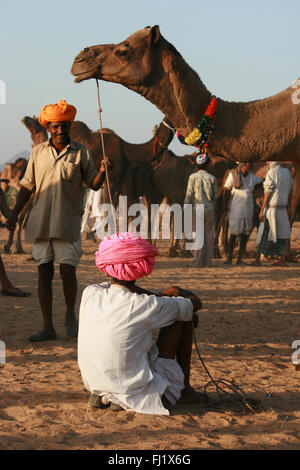 Due i proprietari dei cammelli con colorati turbanti stanno parlando durante il Pushkar mela , Rajasthan Foto Stock