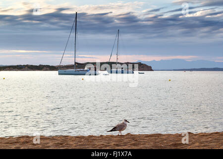 Monti d'una spiaggia di Rena, La Maddalena national park, Sardegna, Italia Foto Stock