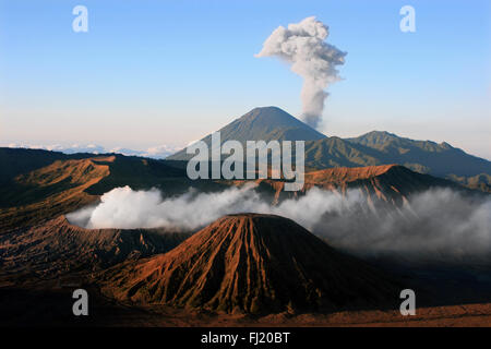 Monte Bromo , Java , Indonesia Foto Stock