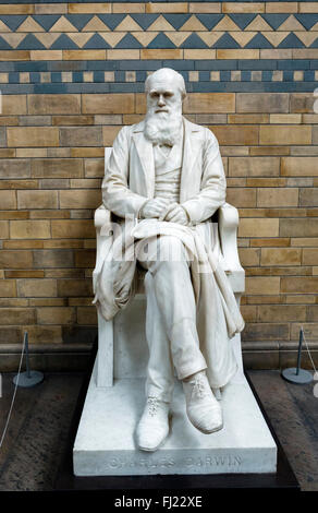 Statua di Charles Darwin in Hintze Hall, il Museo di Storia Naturale di South Kensington, London, England, Regno Unito Foto Stock