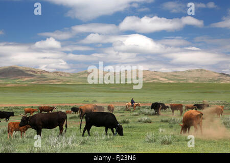 Mongolia paesaggio verde con cavalli e mucche Foto Stock