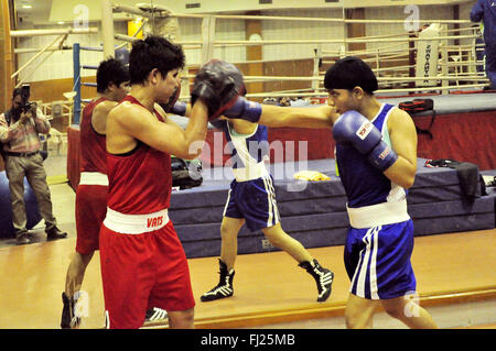 Patiala, India. 19 Feb, 2016. Le donne indiane Boxer Pinki Rani Jangra in blu e Sonia prassi di formazione di schiuma durante la selezione percorsi a Netaji Subhash Istituto Nazionale di Sport (NSNIS). Se Pinki Rani Jangra vince, lei sarà lotta Maria Kom a decidere chi andrà per le Olimpiadi i qualificatori di 51kg categoria. © Rajesh Sachar/Pacific Press/Alamy Live News Foto Stock