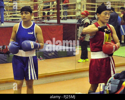 Patiala, India. 19 Feb, 2016. Le donne indiane Boxer Pinki Rani Jangra in blu e Sarju Bala in rosso durante la selezione percorsi a Netaji Subhash Istituto Nazionale di Sport (NSNIS). Se Pinki Rani Jangra vince, lei sarà lotta Maria Kom a decidere chi andrà per le Olimpiadi i qualificatori di 51kg categoria. © Rajesh Sachar/Pacific Press/Alamy Live News Foto Stock