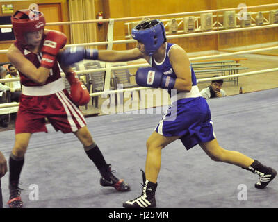 Patiala, India. 19 Feb, 2016. Le donne indiane Boxer Sarju Bala in rosso e Pinki Rani Jangra in blu durante la selezione percorsi a Netaji Subhash Istituto Nazionale di Sport (NSNIS). Se Pinki Rani Jangra vince, lei sarà lotta Maria Kom a decidere chi andrà per le Olimpiadi i qualificatori di 51kg categoria. © Rajesh Sachar/Pacific Press/Alamy Live News Foto Stock