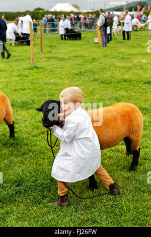 Un ragazzo giovane con le sue pecore nel giudicare l'anello all'2015 Gillingham & Shaftesbury spettacolo agricolo, Dorset, Regno Unito. Foto Stock