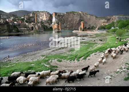 Paesaggio di Hasankeyf, Tigris river e dintorni, , Turchia orientale Foto Stock