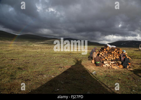 Mongolia Tsaatan nomads - persone di renne - tribù - le persone che vivono con le renne in Asia centrale Foto Stock