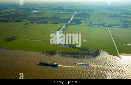 Vista aerea, diga sul Reno, navi da carico sul Reno durante il diluvio, lo spingitore barge, rosso pericolosi, nave portarinfuse, Reno inondazioni, Foto Stock