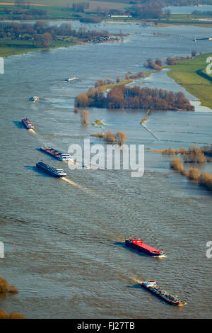 Vista aerea, diga sul Reno, navi da carico sul Reno durante il diluvio, lo spingitore barge, rosso pericolosi, nave portarinfuse, Reno inondazioni, Foto Stock