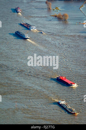 Vista aerea, diga sul Reno, navi da carico sul Reno durante il diluvio, lo spingitore barge, rosso pericolosi, nave portarinfuse, Reno inondazioni, Foto Stock