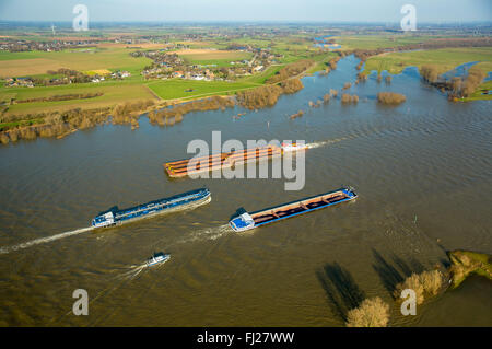 Vista aerea, diga sul Reno, navi da carico sul Reno durante il diluvio, lo spingitore barge, rosso pericolosi, nave portarinfuse, Reno inondazioni, Foto Stock