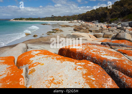 Costa rocciosa vicino a Binalong Bay - Tasmania - Australia Foto Stock