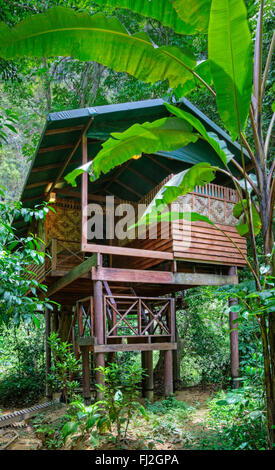 TREE CASE sono la specialità del nostro JUNGLE HOUSE un lodge nella foresta pluviale vicino a Khao Sok NATIONAL PARK - SURATHANI PROVENCE, TH Foto Stock