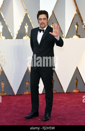 Hollywood, California, USA. 28 Feb, 2016. Attore Benicio del Toro arriva sul tappeto rosso del 88th Academy Awards presso il Teatro Dolby. Credito: Lisa O'Connor/ZUMA filo/Alamy Live News Foto Stock