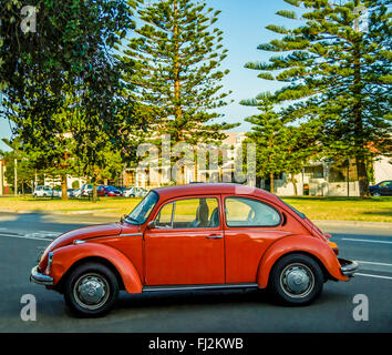Orange Volkswagon maggiolone parcheggiato nelle strade di Albert Park di Melbourne Australia Foto Stock