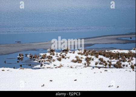 Zhaotong. 26 Febbraio, 2016. Foto scattata nel febbraio 26, 2016 mostra il paesaggio della zona umida Dahaizi a Dashanbao nero-collo gru nella Riserva Naturale del Zhaotong City, a sud-ovest della Cina di Provincia di Yunnan. © Hu Chao/Xinhua/Alamy Live News Foto Stock