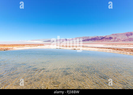 Laguna Colorada, Puna desert, Argentina Foto Stock