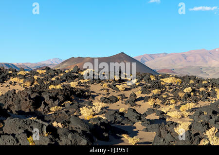 Vulcano di Puna desert, Argentina Foto Stock