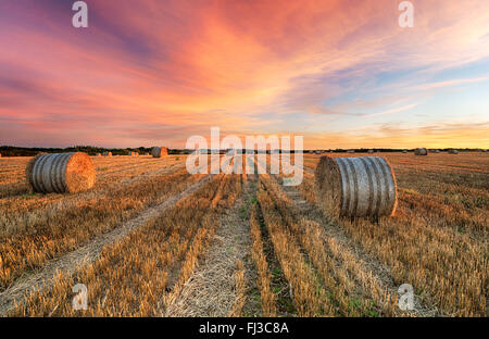 Tramonto mozzafiato su balle di fieno vicino Crantock in Cornovaglia Foto Stock