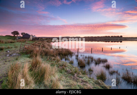Un bellissimo tramonto su cottages in Dozmary Pool un misterioso lago immerso nella leggenda arturiana vicino Bolventor su una parte remota Foto Stock