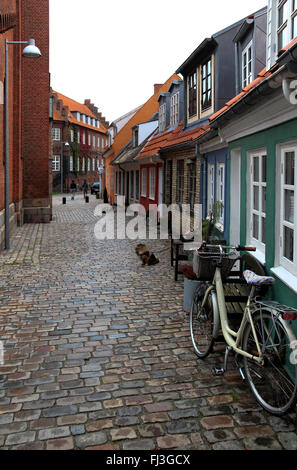 Stretta viuzza acciottolata, Aalborg Città Vecchia, a nord dello Jutland, Danimarca e Scandinavia Foto Stock