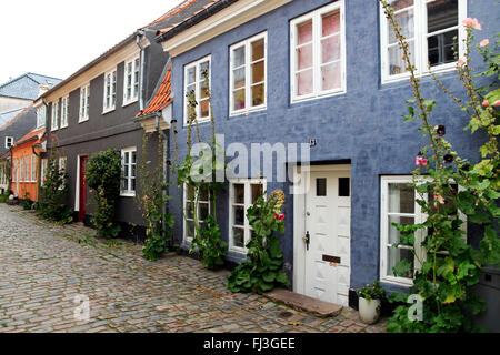 Stretta viuzza acciottolata, Aalborg Città Vecchia, a nord dello Jutland, Danimarca e Scandinavia Foto Stock