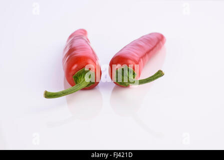 Due fresco intero red hot peperoncini rossi su sfondo bianco Foto Stock