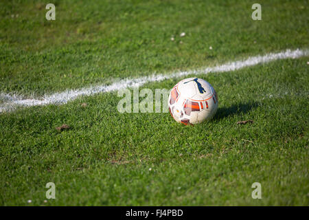 White soccer ball su un verde campo da calcio in erba con un bianco di linea di marcatura Foto Stock