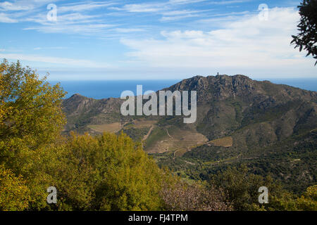 Guardando a tutta la cresta del Pic de Sailfort verso Tour de Madeloc e il Mediterraneo al di là. Foto Stock