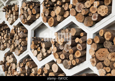 Giardino per impollinatori, Un deposito in legno esagonale per api api solitarie insetti insetti insetti insetti, insetti, insetti, motel hotel UK Foto Stock