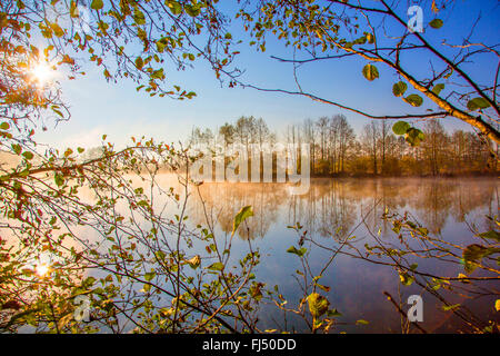 Sole di mezzogiorno su un laghetto in autunno, in Germania, in Baviera, Niederbayern, Bassa Baviera, Atting Foto Stock